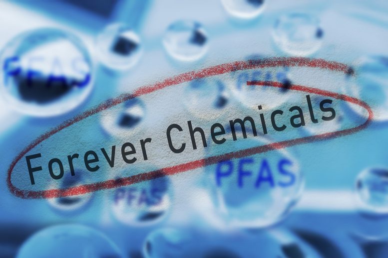 Mutfaktaki Gizli Tehlike: Yaygın Endüstriyel Kimyasallar Biyolojik Yaşlanmayı Hızlandırıyor